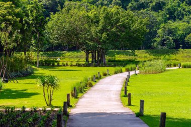 Arka planda dağların olduğu sakin ve güzel bir doğanın ortasındaki yemyeşil otlakların arasından geçen bir yol. Yeşil çimlerle, yemyeşil ağaçlarla, dağlarla ve gökyüzüyle doğanın güzel manzarası. Yeşil Peyzaj.