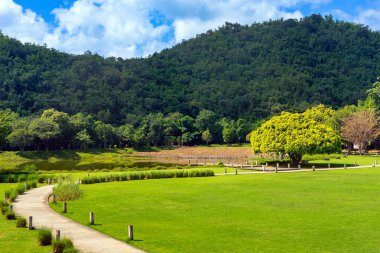 Arka planda dağların olduğu sakin ve güzel bir doğanın ortasındaki yemyeşil otlakların arasından geçen bir yol. Yeşil çimlerle, yemyeşil ağaçlarla, dağlarla ve gökyüzüyle doğanın güzel manzarası. Yeşil Peyzaj.