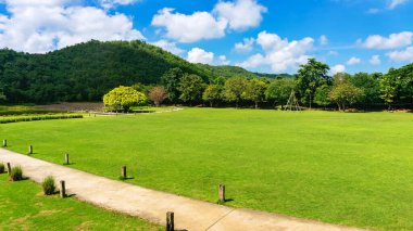 Arka planda dağların olduğu sakin ve güzel bir doğanın ortasındaki yemyeşil otlakların arasından geçen bir yol. Yeşil çimlerle, yemyeşil ağaçlarla, dağlarla ve gökyüzüyle doğanın güzel manzarası. Yeşil Peyzaj.