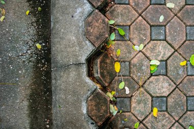 Asfalt yüzeyi hasarlı ve tehlikeli. Kırık tuğlalar yayalar için tehlikeli olabilir. Eski altıgen tuğlalar farklı katlar oluşturmak için çökerler. Hasarlı ve kirli tuğla bloklar.