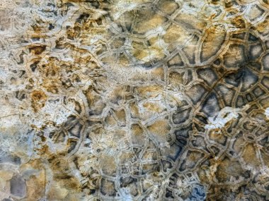 Çimento yüzeyi ve arka plan olarak doku ile kaplı çatlamış eski beton bir duvar. Soyut güzel grunge klasik zemin. Doğal desen. Beton yüzey dokusu. Klasik Grunge havan duvarı.