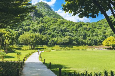 Babanın arkası, parkta dikkatli takip ederek kendine iyi bak evlat. Parkta ailesiyle koşan sevimli, küçük bir çocuk. Aile bağları. Arkadaşlık, güvenlik, destek ve aile kavramı.