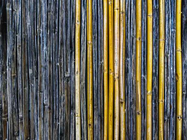 Floor Made Old New Reed Stems Bamboo Fence Background — Stock Photo, Image