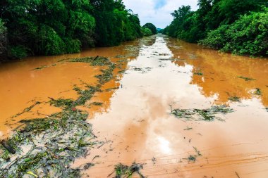 View of irrigation canal with weeds and debris flowing together with strong flowing dirty brown water due to soil and mud from forest after heavy rains and floods. La Nina crisis, Water pollution. clipart