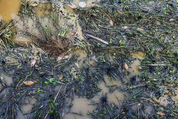 stock image View of irrigation canal with weeds and debris flowing together with strong flowing dirty brown water due to soil and mud from forest after heavy rains and floods. La Nina crisis, Water pollution.