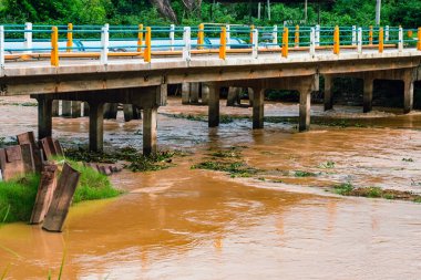 Şiddetli yağmur ve selden sonra ormandan gelen toprak ve çamur nedeniyle güçlü kirli su ile birlikte akan yabani otlar ve molozlar ile sulama kanalının görüntüsü. La Nina krizi, Su kirliliği.