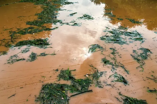 stock image View of irrigation canal with weeds and debris flowing together with strong flowing dirty brown water due to soil and mud from forest after heavy rains and floods. La Nina crisis, Water pollution.