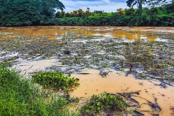 stock image View of irrigation canal with weeds and debris flowing together with strong flowing dirty brown water due to soil and mud from forest after heavy rains and floods. La Nina crisis, Water pollution.