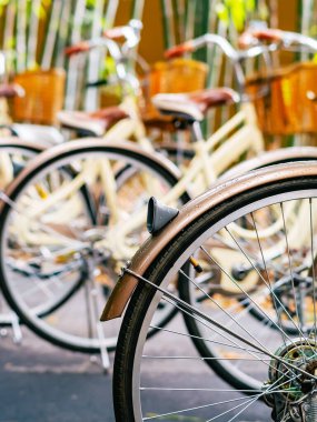 Bambu bahçesinde patikada park edilmiş güzel bir retro bisiklet. Arka planda bulanık bir park görüntüsü var. Bambu ormanında güzel bir klasik bisiklet. Yollarda bambu ağaçlarıyla bisikletler. Seçici odak.