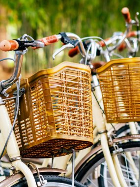 Bambu bahçesinde patikada park edilmiş güzel bir retro bisiklet. Arka planda bulanık bir park görüntüsü var. Bambu ormanında güzel bir klasik bisiklet. Yollarda bambu ağaçlarıyla bisikletler. Seçici odak.