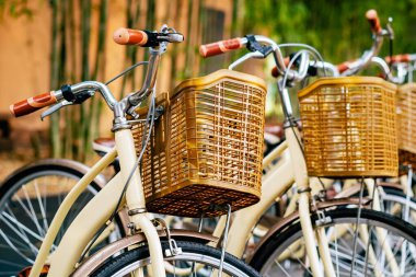 Bambu bahçesinde patikada park edilmiş güzel bir retro bisiklet. Arka planda bulanık bir park görüntüsü var. Bambu ormanında güzel bir klasik bisiklet. Yollarda bambu ağaçlarıyla bisikletler. Seçici odak.