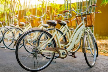 Bambu bahçesinde patikada park edilmiş güzel bir retro bisiklet. Arka planda bulanık bir park görüntüsü var. Bambu ormanında güzel bir klasik bisiklet. Yollarda bambu ağaçlarıyla bisikletler. Seçici odak.