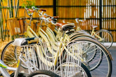 Bambu bahçesinde patikada park edilmiş güzel bir retro bisiklet. Arka planda bulanık bir park görüntüsü var. Bambu ormanında güzel bir klasik bisiklet. Yollarda bambu ağaçlarıyla bisikletler. Seçici odak.