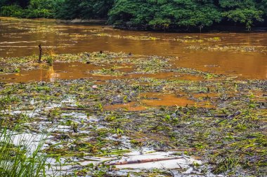 Şiddetli yağmur ve selden sonra ormandan gelen toprak ve çamur nedeniyle güçlü kirli su ile birlikte akan yabani otlar ve molozlar ile sulama kanalının görüntüsü. La Nina krizi, Su kirliliği.