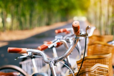 Bambu bahçesinde patikada park edilmiş güzel bir retro bisiklet. Arka planda bulanık bir park görüntüsü var. Bambu ormanında güzel bir klasik bisiklet. Yollarda bambu ağaçlarıyla bisikletler. Seçici odak.