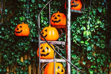 Cadılar Bayramı balkabağı Jack o Lantern balkabağı birçok DIY başkanı yeşil ve bambu arka planlı sarmal merdivenlerde ürkütücü bir gülümseme ile. Kabak kafalarının turuncu rengi. Geleneksel Cadılar Bayramı balkabağı konsepti.