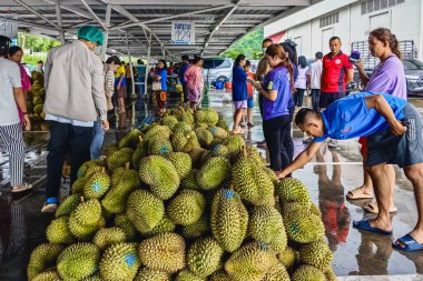 KANCHANABURI-THAILAND, AĞUSTOS 28 Ağustos 2024: Lezzetli ve pahalı fiyatlı popüler bir meyve olan Durian 'ı, Büyük C Supercenter araba parkındaki pazardan daha ucuz bir fiyata halka pazarlamak