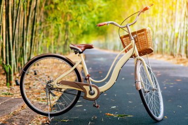 Bambu bahçesinde patikada park edilmiş güzel bir retro bisiklet. Arka planda bulanık bir park görüntüsü var. Bambu ormanında güzel bir klasik bisiklet. Yollarda bambu ağaçlarıyla bisikletler. Seçici odak.