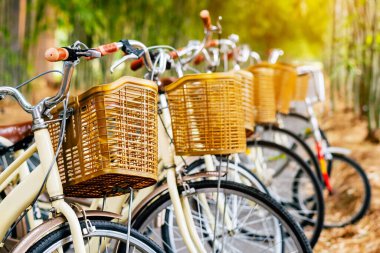 Bambu bahçesinde patikada park edilmiş güzel bir retro bisiklet. Arka planda bulanık bir park görüntüsü var. Bambu ormanında güzel bir klasik bisiklet. Yollarda bambu ağaçlarıyla bisikletler. Seçici odak.