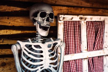 Korkunç şeytani kafatası. Açık hava cadılar bayramı süsü. Dekorasyon partisi için Cadılar Bayramı iskeleti. Yapay Hayalet ya da parti için korkutucu. Şeker ya da şaka. Cadılar Bayramı geçmişi. Cadılar Bayramı ve Şükran Günü