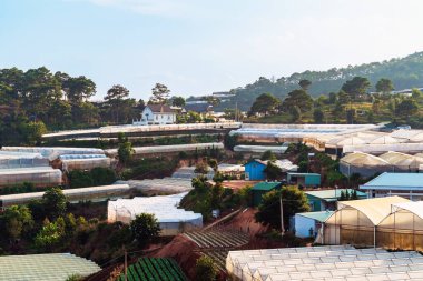 Çiçek bakımevi ve sebze serası manzarası. Vadideki tarım arazisi ve köyü olan bir barınak. Vietnam 'da cam evleri olan tarım arazisi. Market çadırı, güzel manzaralı tarım için plastik çadır..