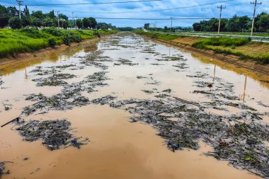 View of irrigation canal with weeds and debris flowing together with strong flowing dirty brown water due to soil and mud from forest after heavy rains and floods. La Nina crisis, Water pollution. clipart