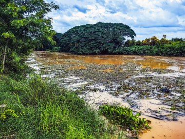 Şiddetli yağmur ve selden sonra ormandan gelen toprak ve çamur nedeniyle güçlü kirli su ile birlikte akan yabani otlar ve molozlar ile sulama kanalının görüntüsü. La Nina krizi, Su kirliliği.