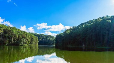 Pang Oung Gölü 'nün ve Tayland' ın Mae Hong Oğlu 'ndaki çam ormanının güzel doğa gölü ve ormanı. Doğa manzarası. Çevre dostu açık hava aktivitesi ve vadiyle çevrili kamp..