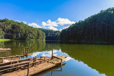 Pang Oung Gölü 'nün ve Tayland' ın Mae Hong Oğlu 'ndaki çam ormanının güzel doğa gölü ve ormanı. Doğa manzarası. Çevre dostu açık hava aktivitesi ve vadiyle çevrili kamp..