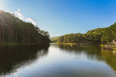 Pang Oung Gölü 'nün ve Tayland' ın Mae Hong Oğlu 'ndaki çam ormanının güzel doğa gölü ve ormanı. Doğa manzarası. Çevre dostu açık hava aktivitesi ve vadiyle çevrili kamp..