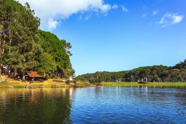 MAE HONG SON, THAILAND-ARALIK 30. 2024: Pang Oung Gölü 'nün güzel doğa gölü ve ormanı ve çevre dostu açık hava aktiviteleri için çam ormanı ve Pang Tong rezervuarında kamp.