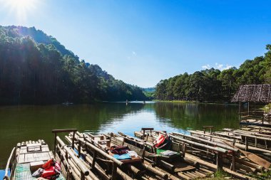 Pang Oung Gölü 'nün ve Tayland' ın Mae Hong Oğlu 'ndaki çam ormanının güzel doğa gölü ve ormanı. Doğa manzarası. Çevre dostu açık hava aktivitesi ve vadiyle çevrili kamp..