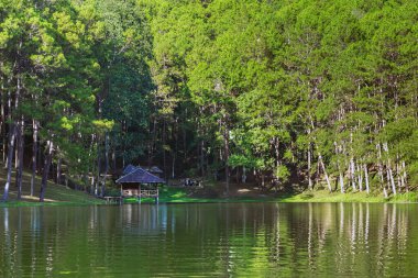 Pang Oung Gölü 'nün ve Tayland' ın Mae Hong Oğlu 'ndaki çam ormanının güzel doğa gölü ve ormanı. Doğa manzarası. Çevre dostu açık hava aktivitesi ve vadiyle çevrili kamp..