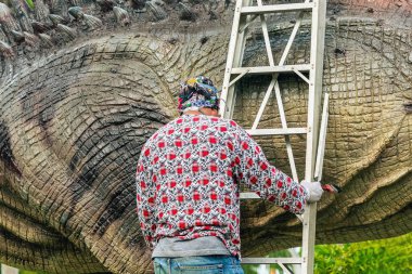 Erkek ressam bir merdiven üzerinde duruyor ve onu güzel ve gerçekçi kılmak için büyük bir dinozor heykeli ya da heykelini boyamak ve dekore etmek için bir fırça kullanıyor. Gerçekçi sanat ve dinazor derilerinin rengini yaratmak.