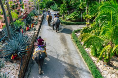 PATTAYA, THAILAND-DECEP 30. 2018: Kimliği belirsiz turistler, Nong Nooch Tropik Botanik Bahçesi 'ndeki tur parkında macera yolculuğunun tadını çıkarmak için Asya fillerinin sırtında oturuyorlar. Turist eğlencesi.