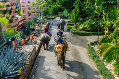 PATTAYA, THAILAND-DECEP 30. 2018: Kimliği belirsiz turistler, Nong Nooch Tropik Botanik Bahçesi 'ndeki tur parkında macera yolculuğunun tadını çıkarmak için Asya fillerinin sırtında oturuyorlar. Turist eğlencesi.