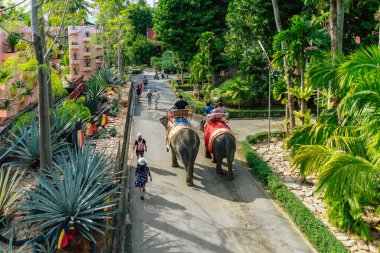PATTAYA, THAILAND-DECEP 30. 2018: Kimliği belirsiz turistler, Nong Nooch Tropik Botanik Bahçesi 'ndeki tur parkında macera yolculuğunun tadını çıkarmak için Asya fillerinin sırtında oturuyorlar. Turist eğlencesi.