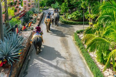 PATTAYA, THAILAND-DECEP 30. 2018: Kimliği belirsiz turistler, Nong Nooch Tropik Botanik Bahçesi 'ndeki tur parkında macera yolculuğunun tadını çıkarmak için Asya fillerinin sırtında oturuyorlar. Turist eğlencesi.