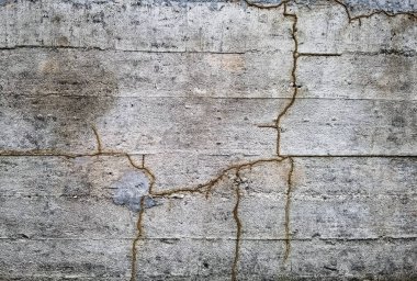 Termit yuvası bina duvarına ziyafet çekiyor. Evin beton duvarında termit izleri var. Duvardaki Termit 'in soyut arkaplanı. Beton duvardaki termit yuvası hattı. Termitlere yakın barınak tüpleri..