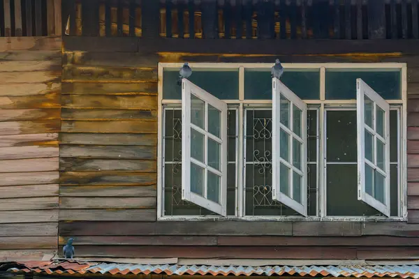 Eski ahşap evin eski ahşap penceresinde güvercinler.