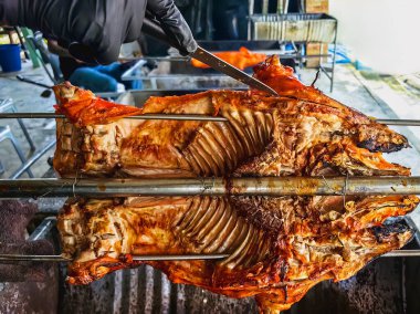 Izgara süt kuzusu domuz. Fırında kızartılmış süt domuzu. Partideki yemekler ızgarada domuz rostosu. Tükürükte kızartılmış domuz, ızgara domuz. Domuz leşleri kömür ocağıyla kızartılıyor..