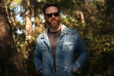 Sakallı, güneş gözlüklü ve kot ceketli beyaz bir adam bulanık yeşil bir arka plan ve yumuşak doğal ışık altında poz veriyor.