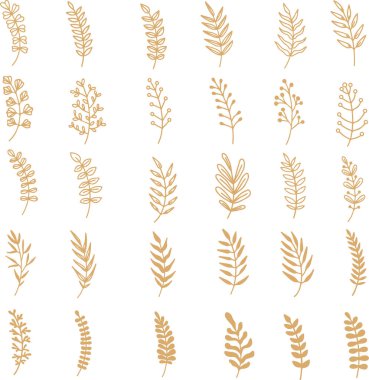 Piksel mükemmel ikon el çizimi mısır gevreği arpa yulafları tarımsal çiçek yaprağı çiçekleri. Beyaz şeffaf arkaplanda izole edilmiş ince çizgi simgeleri düz vektör çizimleri