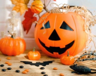 Cadılar bayramı balkabağı balkabağı. Uzayı metin için kopyala. Sonbahar tatili konsepti Ekim ayı turuncu korkunç dekorasyon. Kutlama kartı şablonu