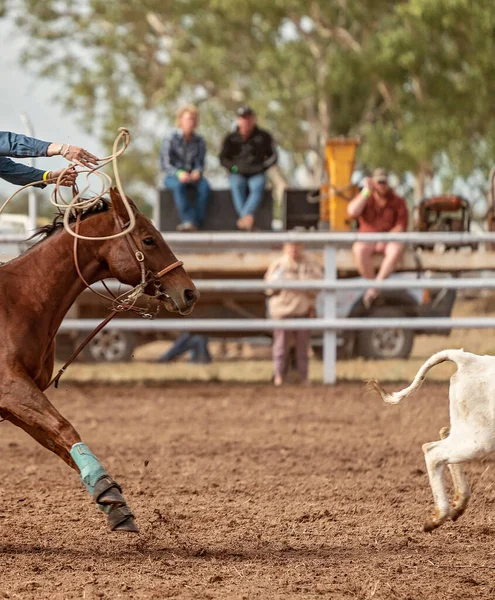 Cielę Ucieka Linki Podczas Walki Łydce Australijskim Country Rodeo — Zdjęcie stockowe