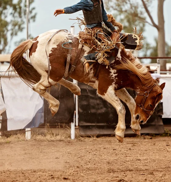 Kovboj Vzpínajícím Sedle Bronk Zemi Rodeo Austrálie — Stock fotografie