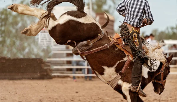 Cowboy Lovaglás Egy Bucking Nyereg Bronc Egy Ország Rodeó Ausztrália — Stock Fotó