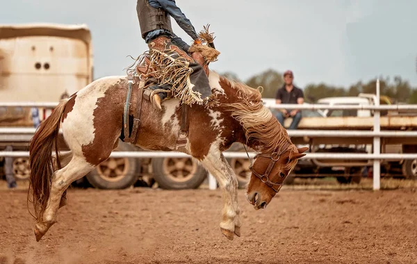 Cowboy Montando Brônquio Sela Bucking Rodeio País Austrália — Fotografia de Stock