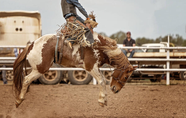 Ковбой, скачущий на лошадях на деревенском родео в Австралии
