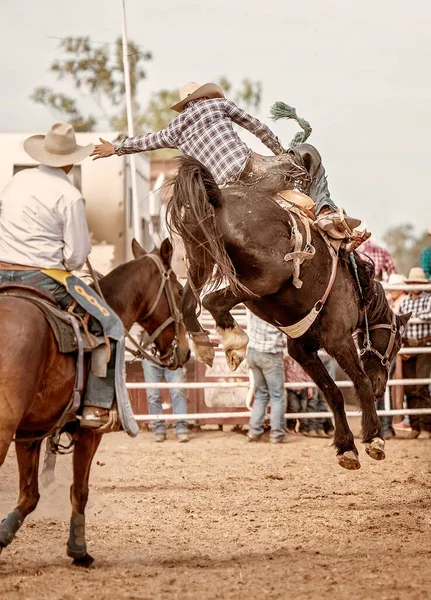 Cowboy Rider Vagga Sadel Bronc Ett Land Rodeo Australien Royaltyfria Stockbilder